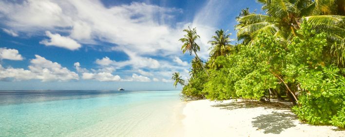 Pristine beach with turquoise waters and palm trees on Laamu Atoll, Maldives.